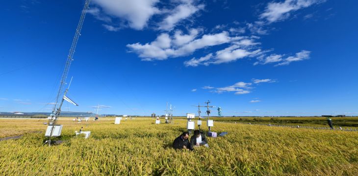 中国气象灾害预警项目获“2025年信息社会世界峰会奖”