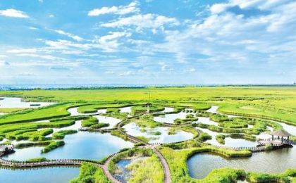 以林长制为抓手 绘就湿地大美画卷
