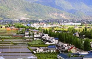 重庆农村黑臭水体实现全面全域动态清零