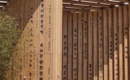 向世界发出的“绿色邀约”