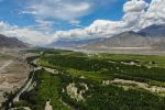 大力推进生态修复工程，环境持续向好——绿满拉萨南北山