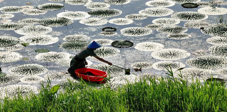 大暑时节各地气候有何差异？气象分析师解读