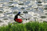 大暑时节各地气候有何差异？气象分析师解读