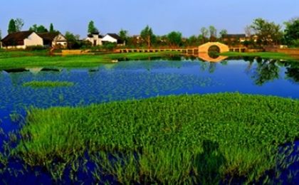 保护大美湿地 共享生态福祉