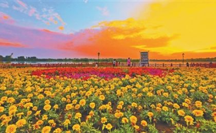 康养旅居 “慢游”撬动大市场