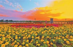 康养旅居 “慢游”撬动大市场