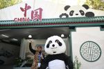 《湿地公约》第十五届缔约方大会在津巴布韦开幕