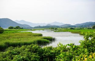 中国科学家首次绘制全球湿地碳汇时空格局