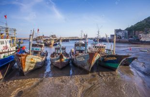 人工养贻贝 还能卖碳汇