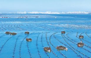 中国海水产品产量连续多年全球第一