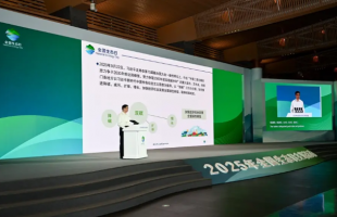 中国发布“双碳”五周年重要成果：可再生能源装机占比超59% 