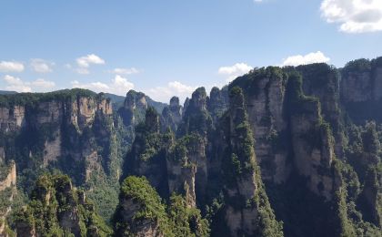 碳汇变绿色资产，林业生态“钱”景光明