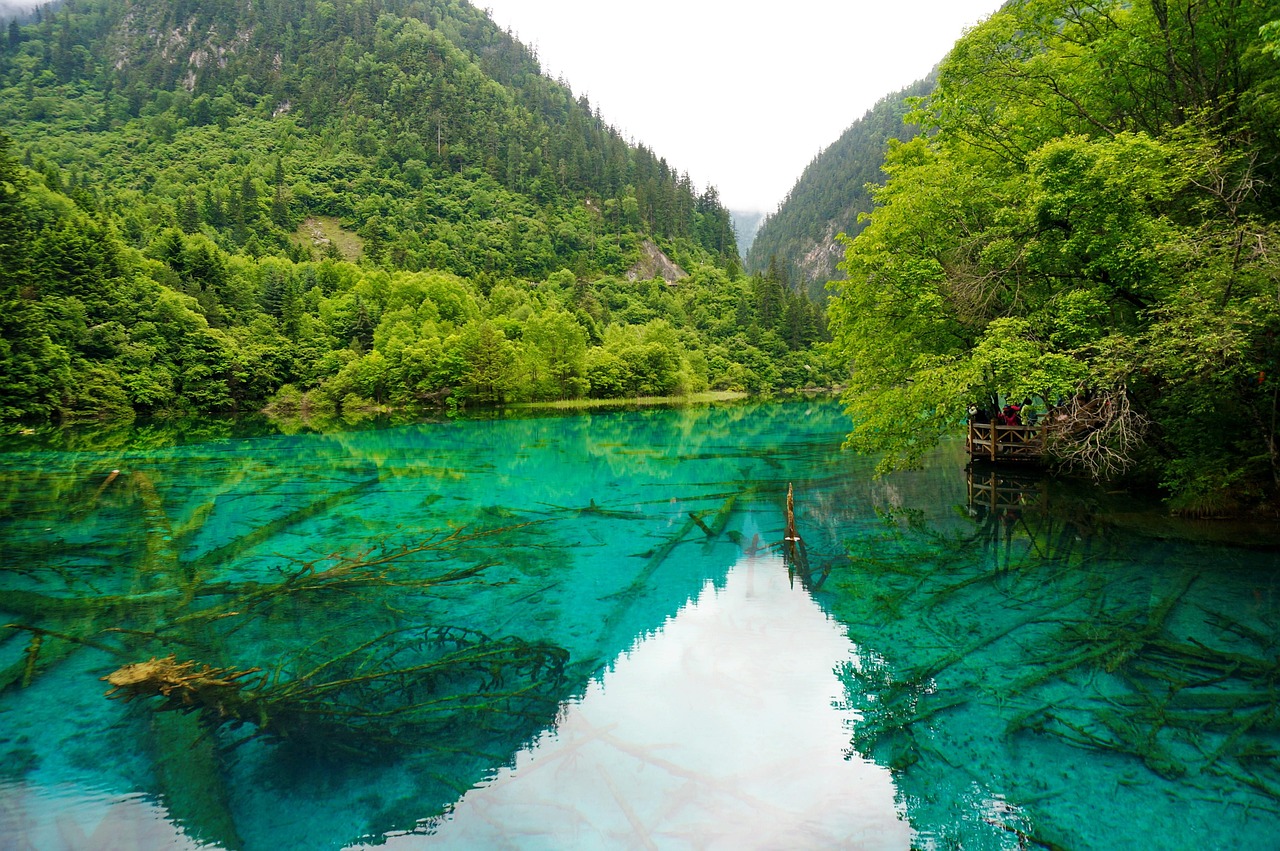 “爱护绿水青山 倡导无痕旅游”倡议发布