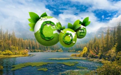 刘清芝：CCER审定与核查管理水平将迈上新台阶