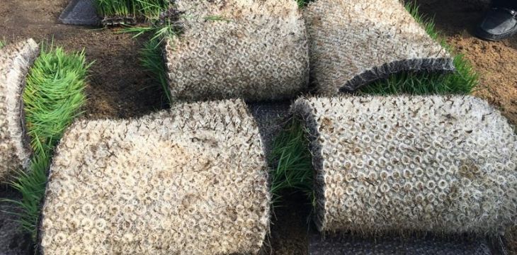 “小材料”也有“大能量”：新材料解锁更多应用场景