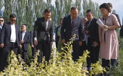 中国—中亚荒漠化防治合作首批项目在宁夏银川签署