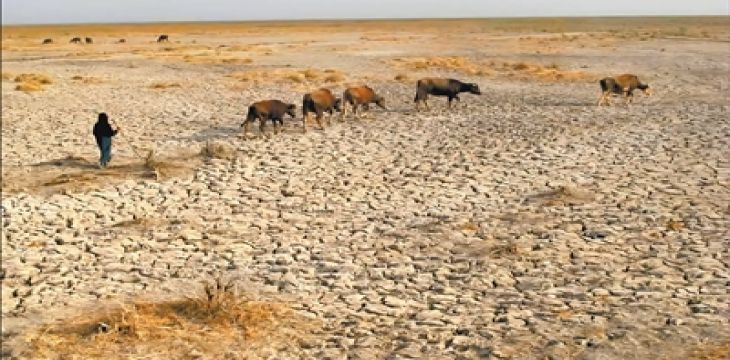 报告显示全球40%地区面临干旱问题，每年经济损失高达3070亿美元