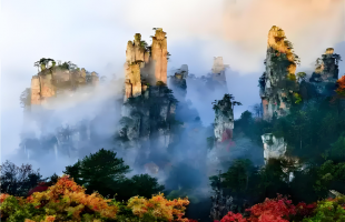 新业态新体验，旅途更多彩