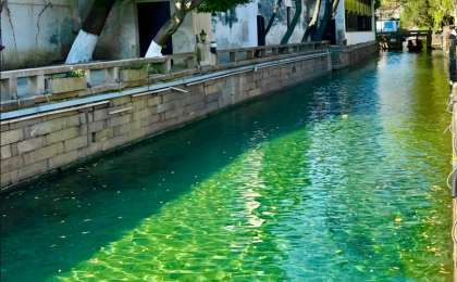 江南诗意 果冻河晶莹剔透倒映江南之美