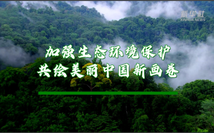 六个“新”字看成绩｜生态文明建设实现新进步