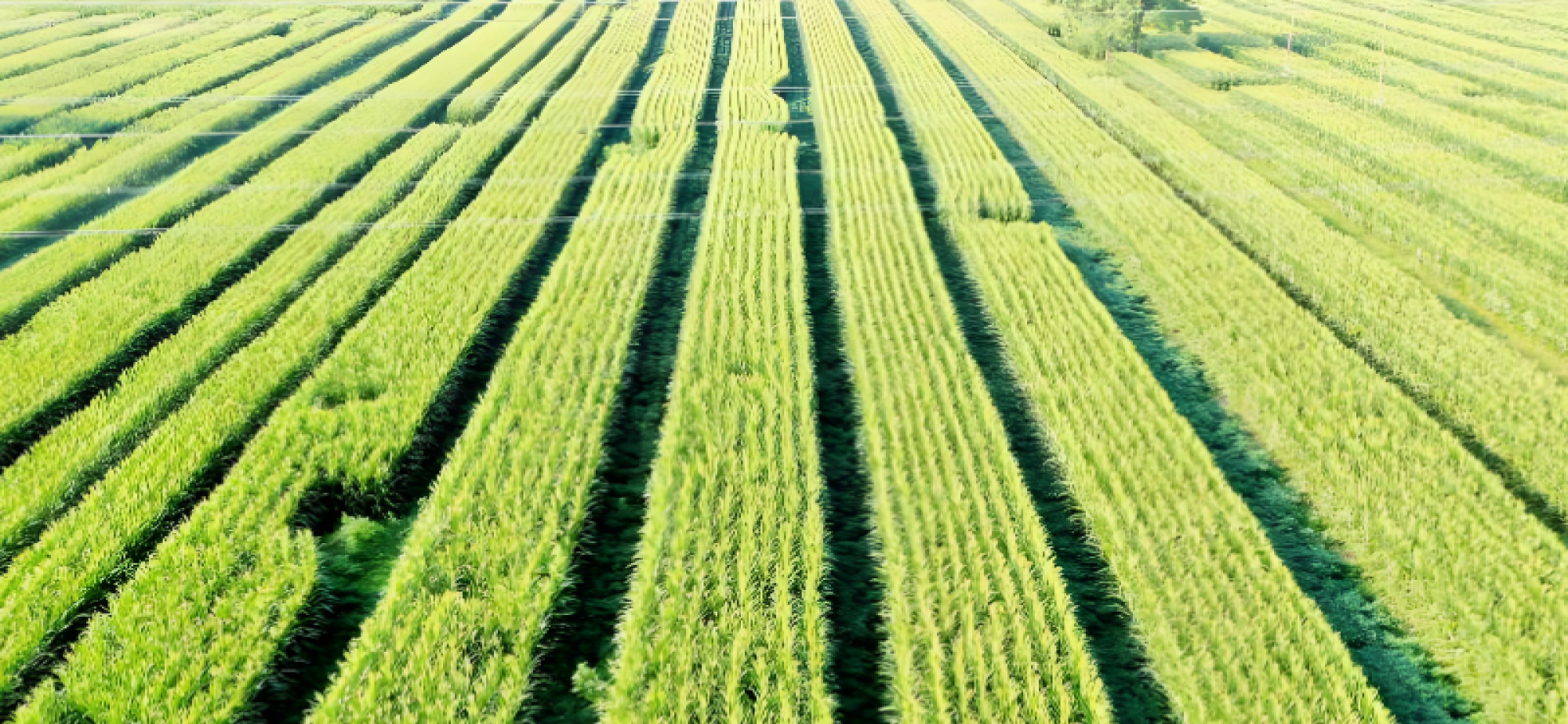 这个“重中之重”如何抓