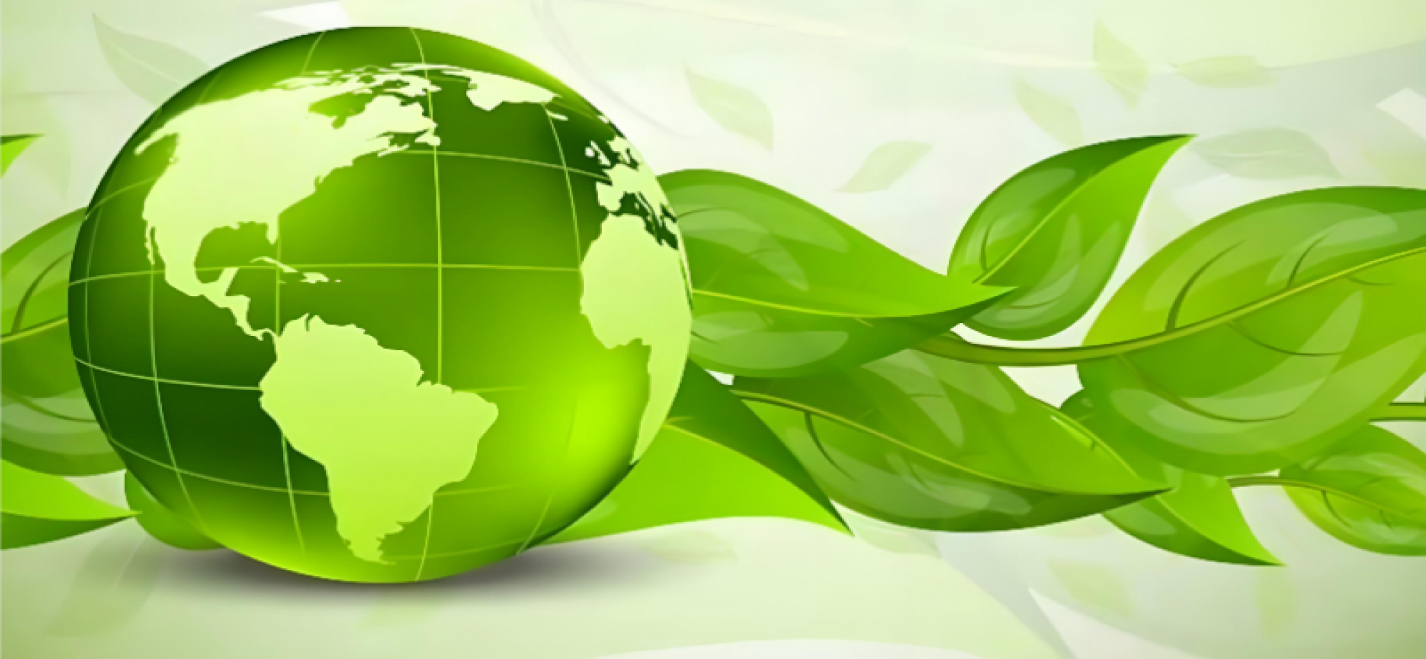 不断增强生态文明教育的系统性、整体性、协同性