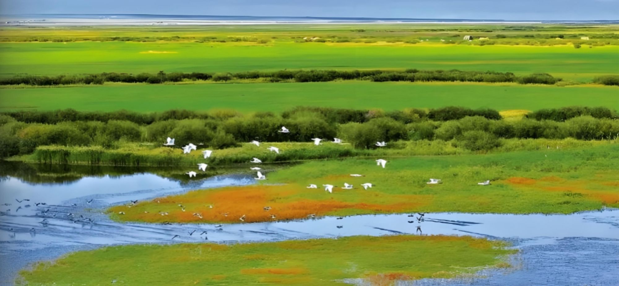 《生态环境监测条例》全文来了！