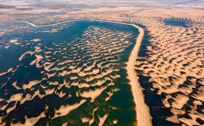 内蒙古推动黄河流域生态保护和高质量发展走深走实