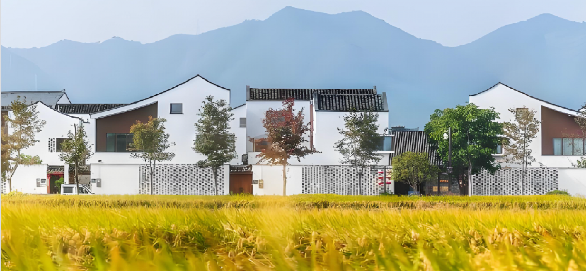 让乡村特色产业成为幸福产业