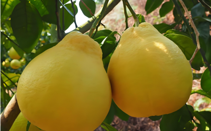 找准路子，一茬一茬干下去