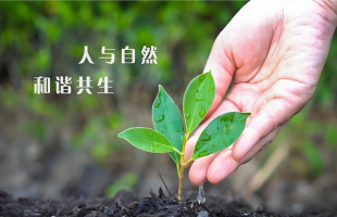 建设人与自然和谐共生的现代化
