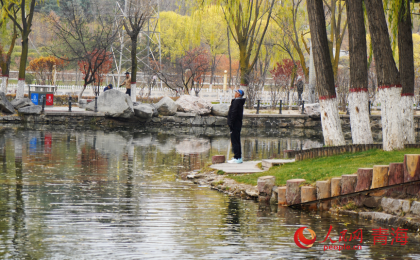 行进中国 | 方寸之间，漾起城市绿意