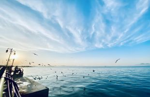 我国三大海洋经济圈持续扩能