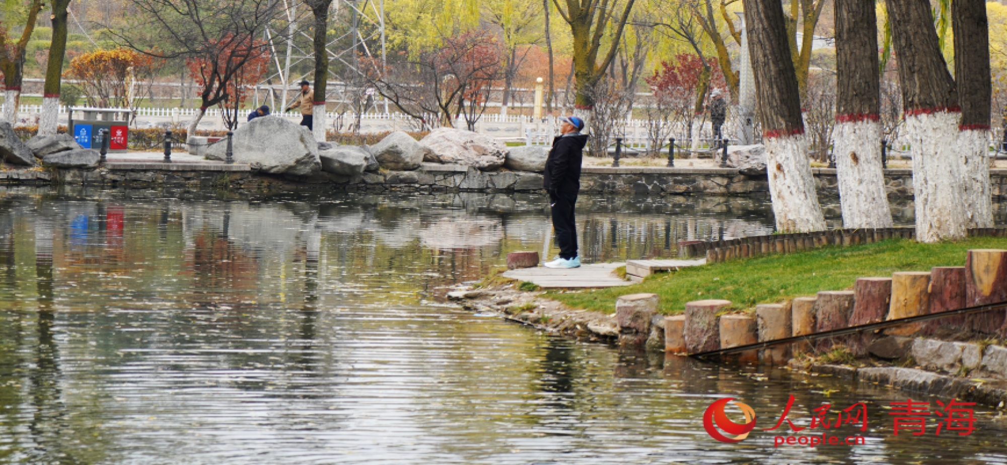 行进中国 | 方寸之间，漾起城市绿意