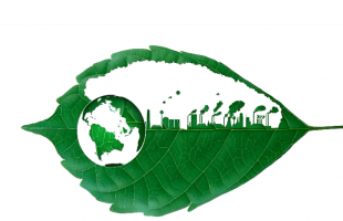 我国提交《2035年中国国家自主贡献报告》