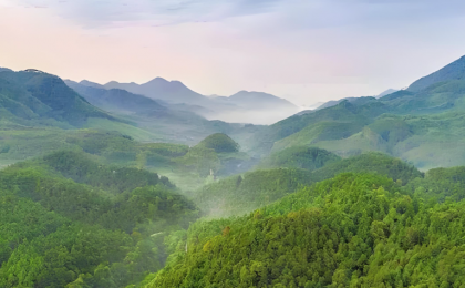 广东大力传承弘扬“岳山造林”光荣传统    绿美南粤入画来