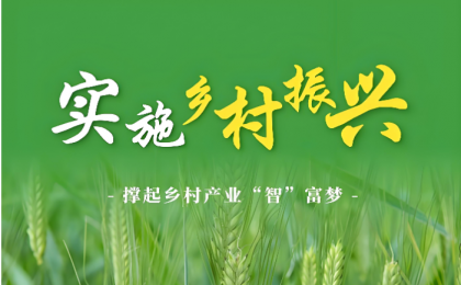 四中全会首提“片区化推进乡村振兴”，有何深意？