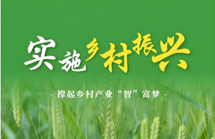 四中全会首提“片区化推进乡村振兴”，有何深意？