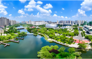 以“绣花功夫”推进人民城市建设    