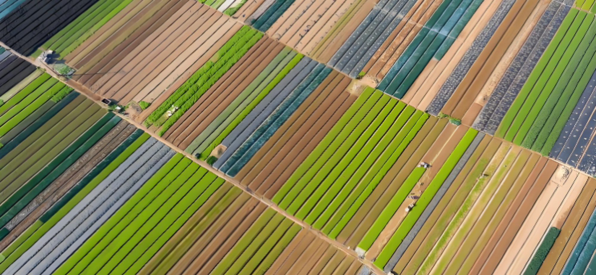 七大“深度科技”将引领全球农业变革