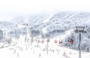 多地出招推动冰雪“冷资源”变“热发展”  