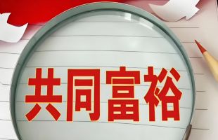 持续扩大中等收入群体规模 扎实推进共同富裕