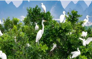 坚持“环保为民”，“十五五”还要加把劲！