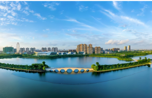 实用！稻田退水“零直排”的嘉兴经验学起来！  