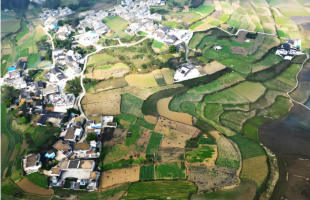 “贵”字号农产品何以走俏全国？   