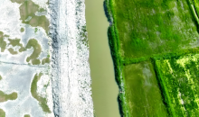 我国积极探索区域盐碱耕地治理模式    综合利用，盐碱地变丰产田   