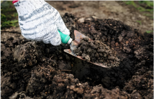 “毒营养土”背后的监管漏洞必须堵上  