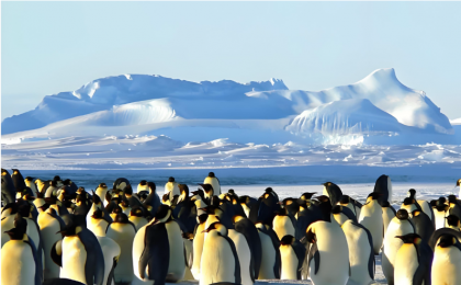 COP30凝聚全球共识 应对气候变化迈入新阶段  