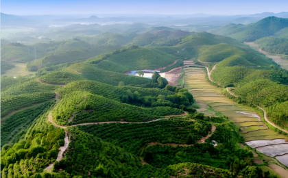 林下经济、林草产业纳入“十五五”规划建议，为什么会受到如此多的关注？  