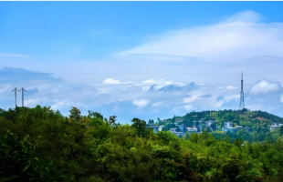 2025鼓岭论坛在纽约举行  